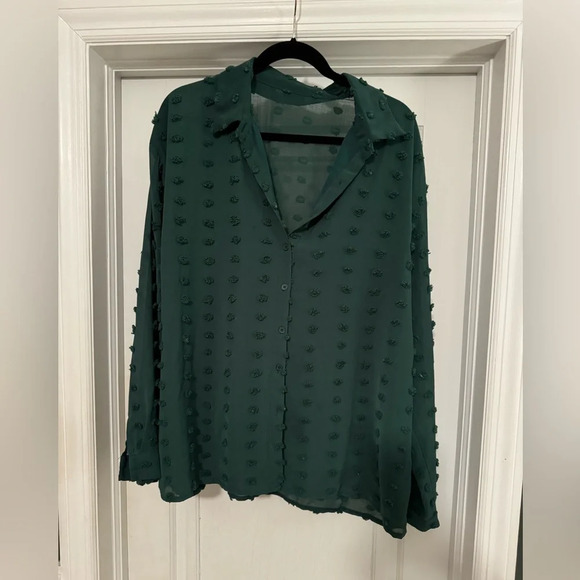 PomPom Buttondown Shirt - Size 2X - Picture 1 of 3